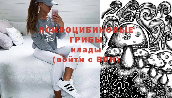 спиды Волоколамск