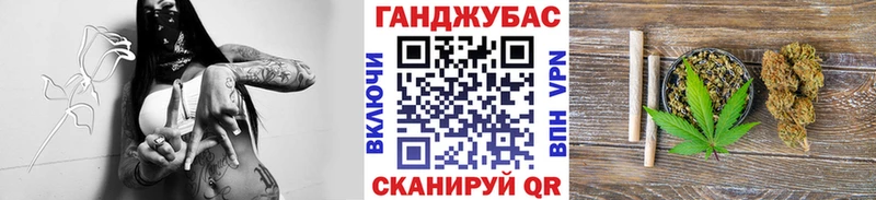 где купить наркоту  Свободный  МАРИХУАНА SATIVA & INDICA 